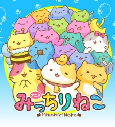 Micchiri Neko [Sub: Eng]